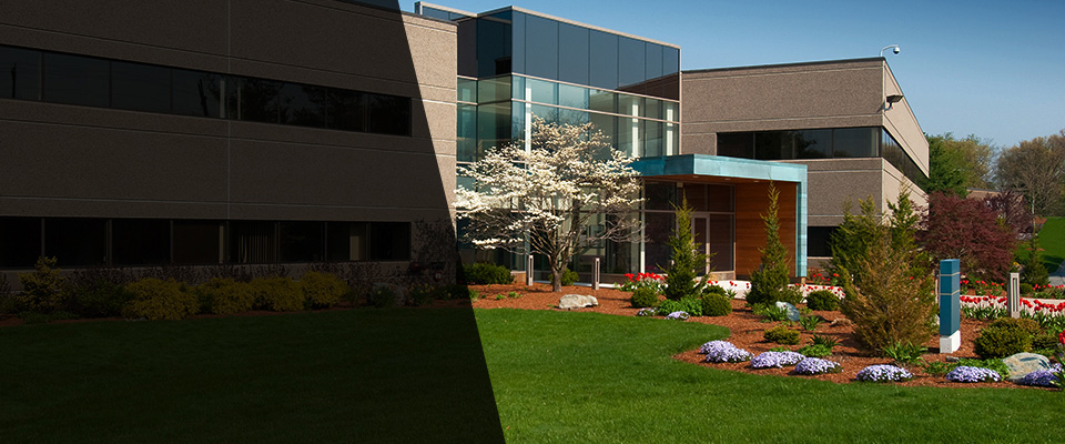 Olive Hill Landscapers