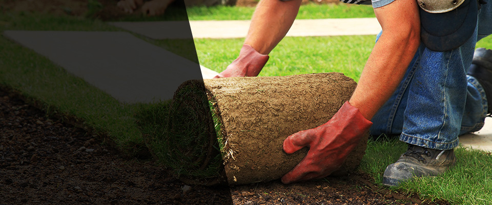 Olive Hill Landscapers